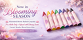 Soulful Lotus Crayons – 8 Pack | Adult Coloring & Stress Relief